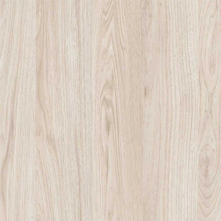 Lioher rosales1 SYNCRON COLLECTION  